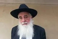 Eliyahu Rips and the Quest for Meaning in Biblical Texts