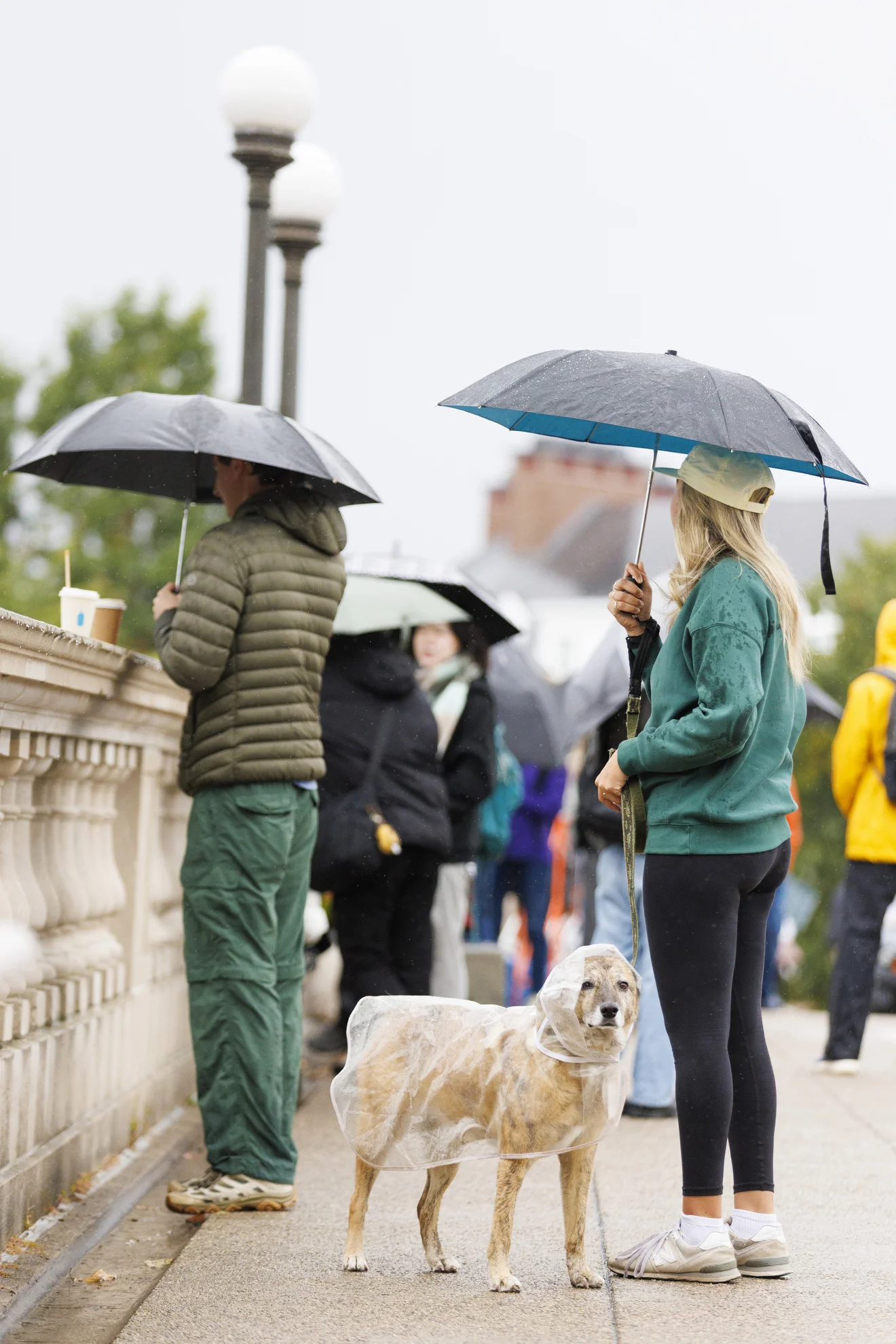 Gemma, clad in a raincoat, stands with their owner on the Weeks Footbridge.