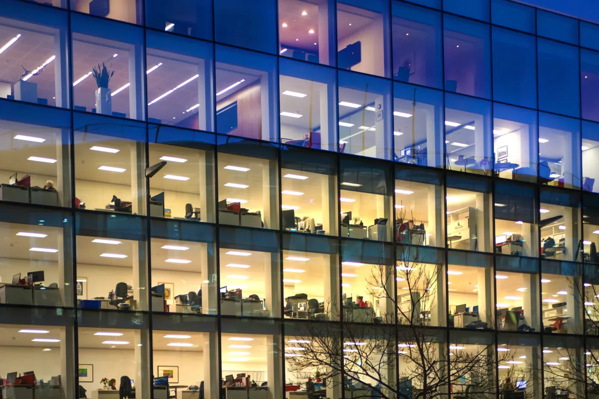Anticipating AI's Impact on White-Collar Jobs: Insights from Key Industry Figures