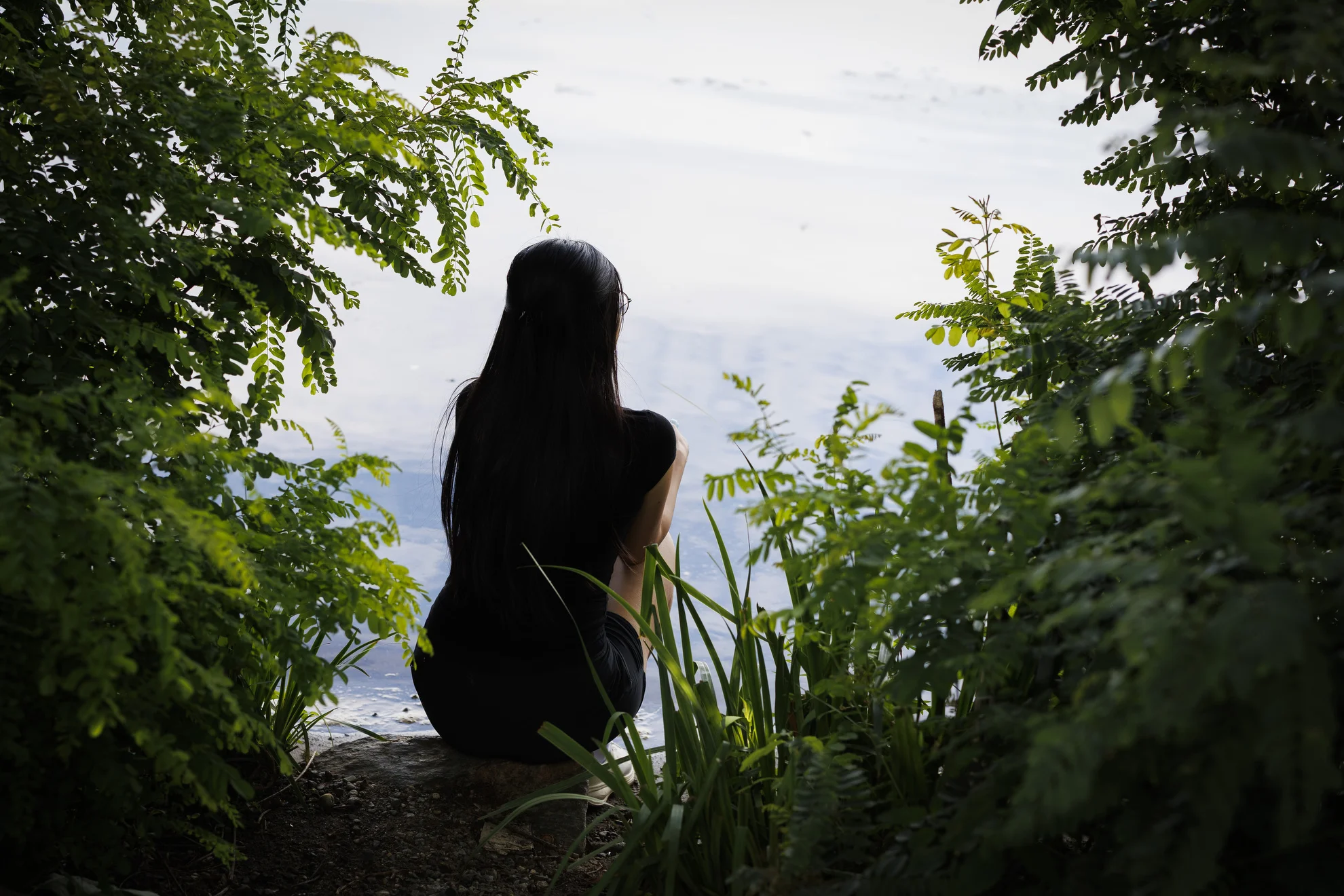 The Charles River: A Vital Hub of Activity and Reflection at Harvard University