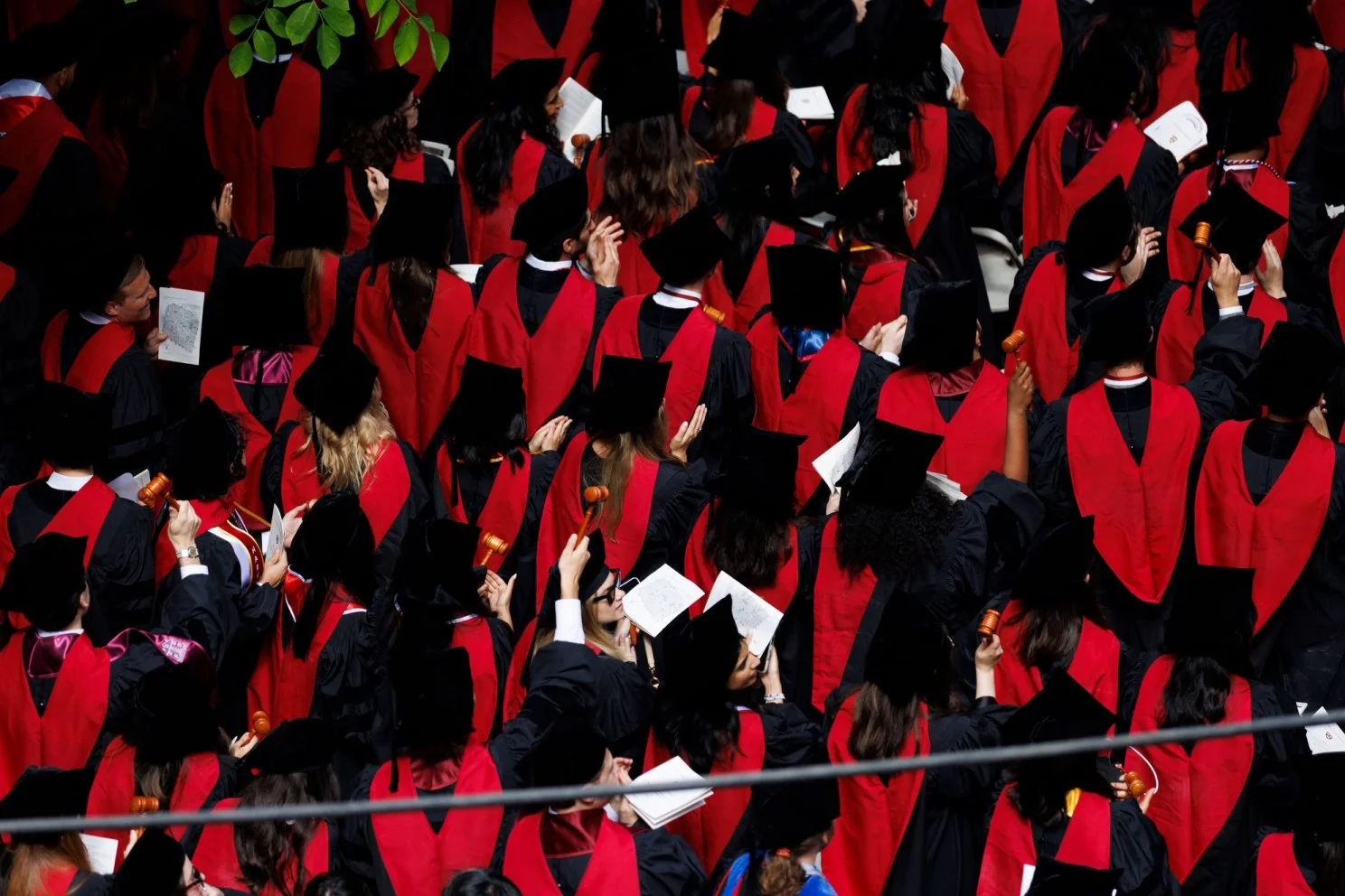Harvard University Confers Over 10,000 Degrees in Landmark Commencement Ceremony